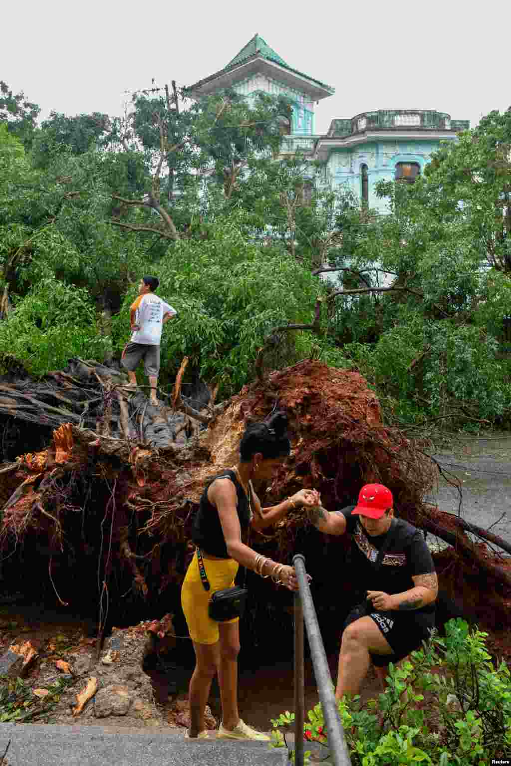 Un árbol arrancado de raíz por los fuertes vientos después de que el huracán Rafael dejó sin servicio eléctrico al país, dejando a 10 millones de personas sin servicio eléctrico, en La Habana, Cuba, el 7 de noviembre de 2024. REUTERS/Norlys Perez